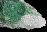Botryoidal Green Fluorite Crystal Cluster - China #93025-2